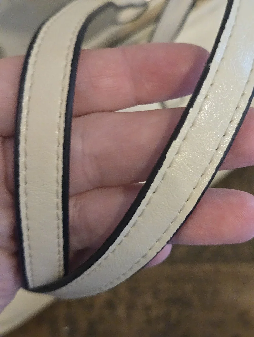 ALDO Lazarosx Bag